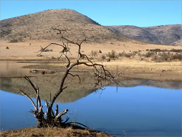 Mankwe Dam, central lake in the Pilanesberg National Park, North West Province