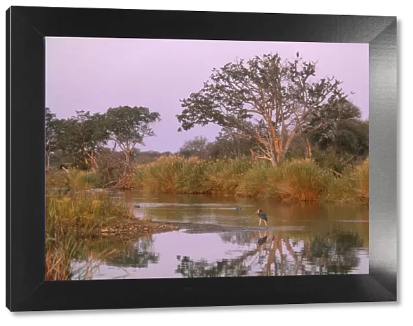Olifants River, Kruger National Park, South Africa, Africa