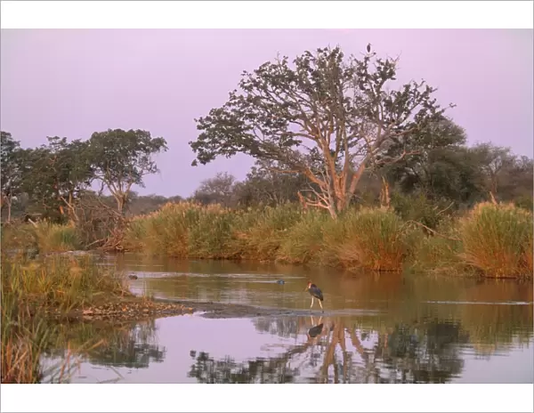 Olifants River, Kruger National Park, South Africa, Africa