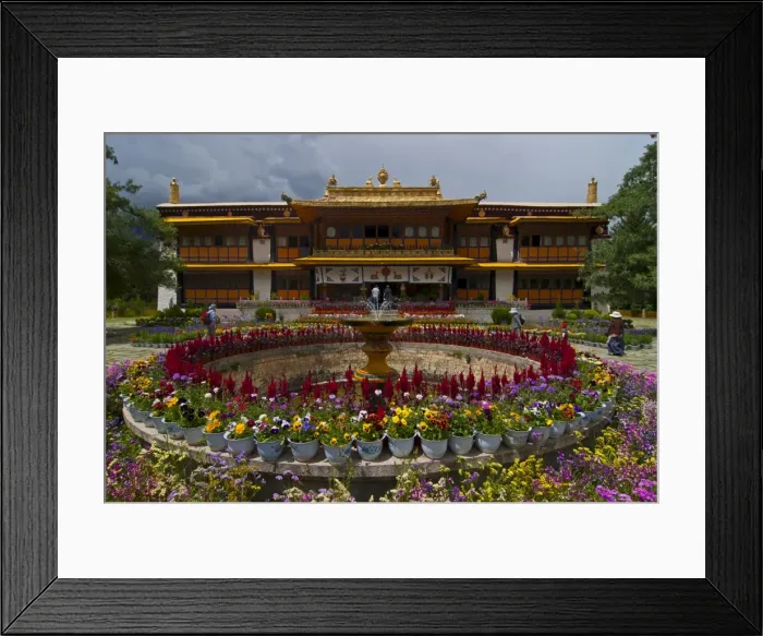Framed Print : Colourful flowers at the Summer Palace, Lhasa, Tibet, China, Asia Framed Print : Colourful flowers at the Summer Palace, Lhasa, Tibet, China, Asia