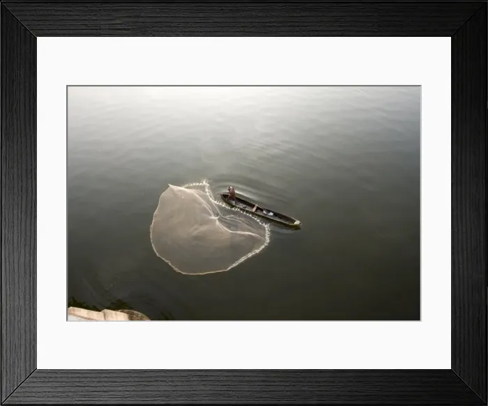 Framed Print : Thrownet fishing, Ashtamudi Lake, Kollam, Kerala, India, Asia Framed Print : Thrownet fishing, Ashtamudi Lake, Kollam, Kerala, India, Asia