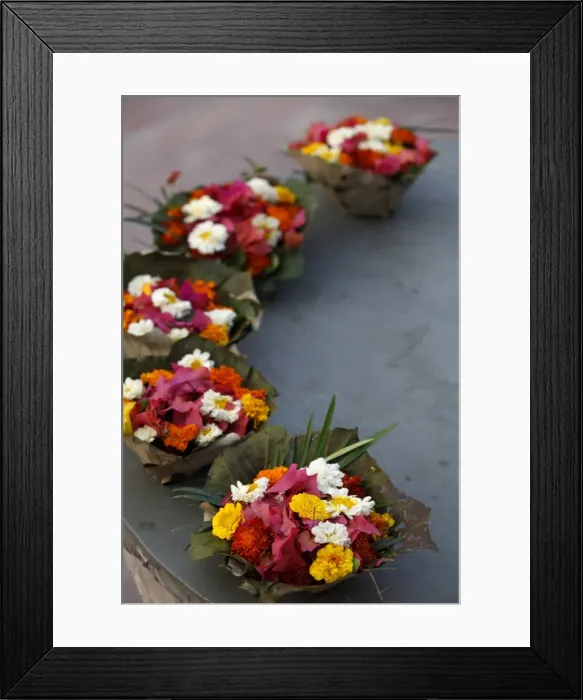 Framed Print : Diyas (floral floats) for sale on Rishikesh ghats, Rishikesh, Uttarakhand, India, Asia Framed Print : Diyas (floral floats) for sale on Rishikesh ghats, Rishikesh, Uttarakhand, India, Asia