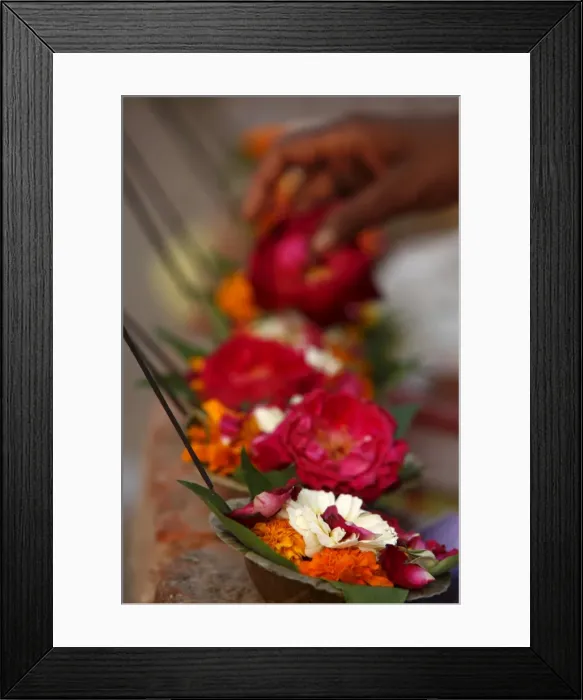 Framed Print : Diyas (floral floats with incense), Rishikesh, Uttarakhand, India, Asia Framed Print : Diyas (floral floats with incense), Rishikesh, Uttarakhand, India, Asia