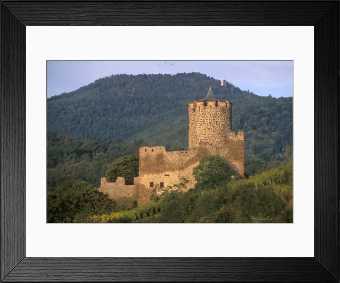 Framed Print : Kaysersberg imperial castle built in the 13th and 14th centuries, Haut Rhin Framed Print : Kaysersberg imperial castle built in the 13th and 14th centuries, Haut Rhin