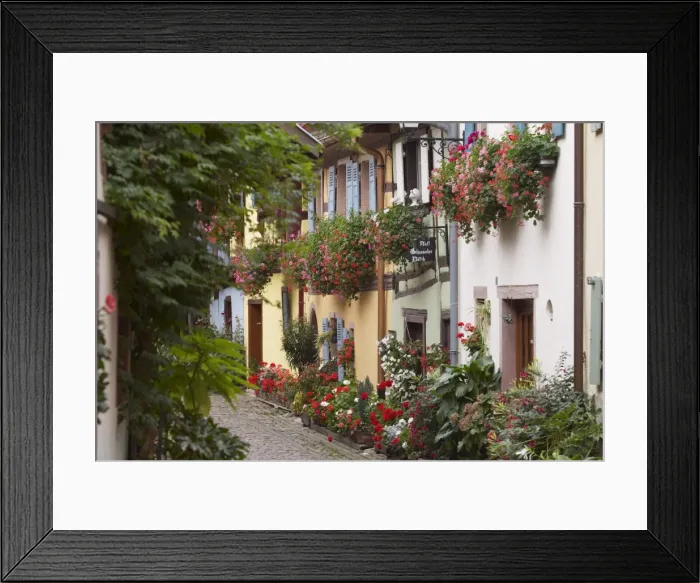 Framed Print : Street in the heritage village of Eguisheim, Alsatian Wine Road, Haut Rhin Framed Print : Street in the heritage village of Eguisheim, Alsatian Wine Road, Haut Rhin