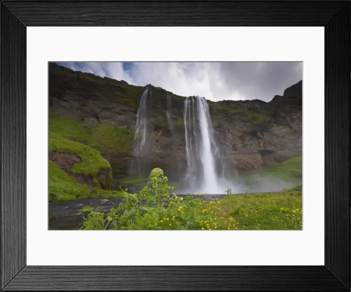 Framed Print : Seljalandsfoss on the south coast, west of Skogar, one of Icelands most beautiful waterfalls Framed Print : Seljalandsfoss on the south coast, west of Skogar, one of Icelands most beautiful waterfalls