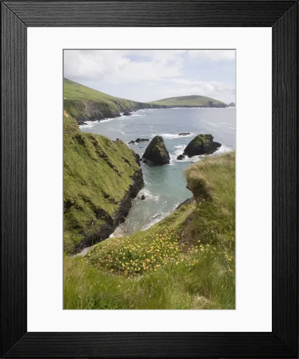 Framed Print : View from Slea Head Drive near Dunquin, Dingle Peninsula, County Kerry Framed Print : View from Slea Head Drive near Dunquin, Dingle Peninsula, County Kerry