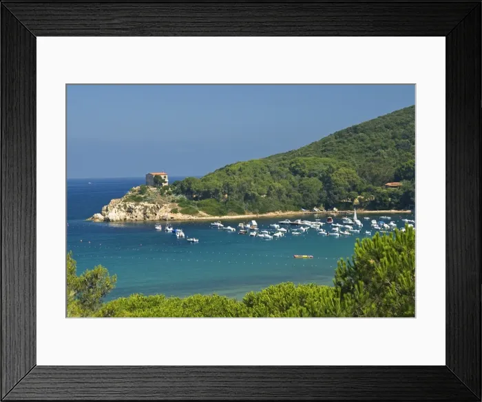 Framed Print : La Guardiola, Procchio, Isola d Elba, Elba, Tuscany, Italy, Europe Framed Print : La Guardiola, Procchio, Isola d Elba, Elba, Tuscany, Italy, Europe