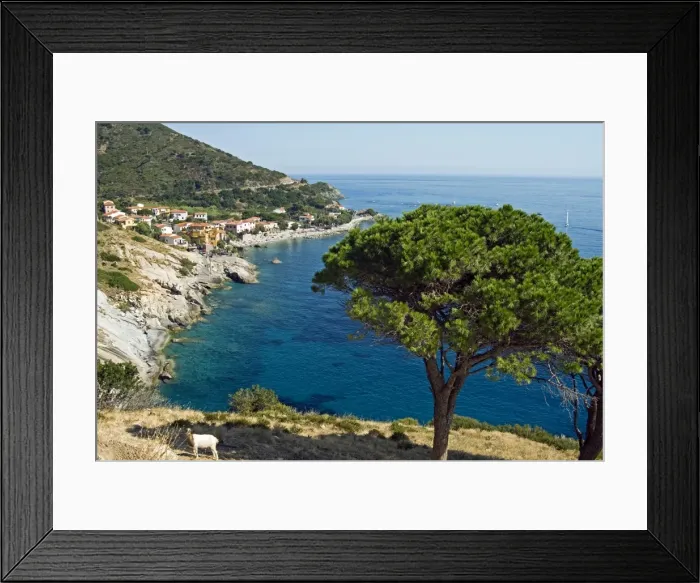 Framed Print : Pomonte, Isola d Elba, Elba, Tuscany, Italy, Europe Framed Print : Pomonte, Isola d Elba, Elba, Tuscany, Italy, Europe