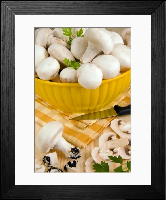 Framed Print : White button mushrooms (Agaricus bisporus), Champignon, Italy, Europe Framed Print : White button mushrooms (Agaricus bisporus), Champignon, Italy, Europe