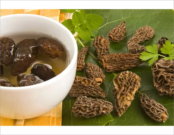 Dried morels, Italy, Europe