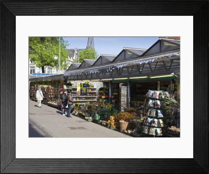 Framed Print : Bloemenmarkt (flower market), Amsterdam, Netherlands, Europe