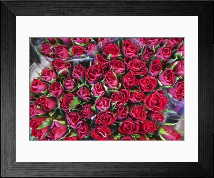 Framed Print : Roses on display in the Bloemenmarkt (flower market), Amsterdam, Netherlands, Europe Framed Print : Roses on display in the Bloemenmarkt (flower market), Amsterdam, Netherlands, Europe