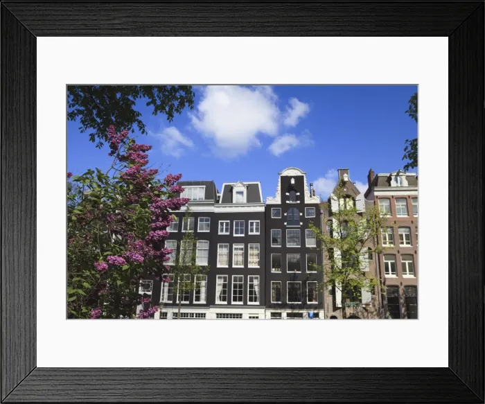 Framed Print : Houses on the Prinsengracht, Amsterdam, Netherlands, Europe Framed Print : Houses on the Prinsengracht, Amsterdam, Netherlands, Europe