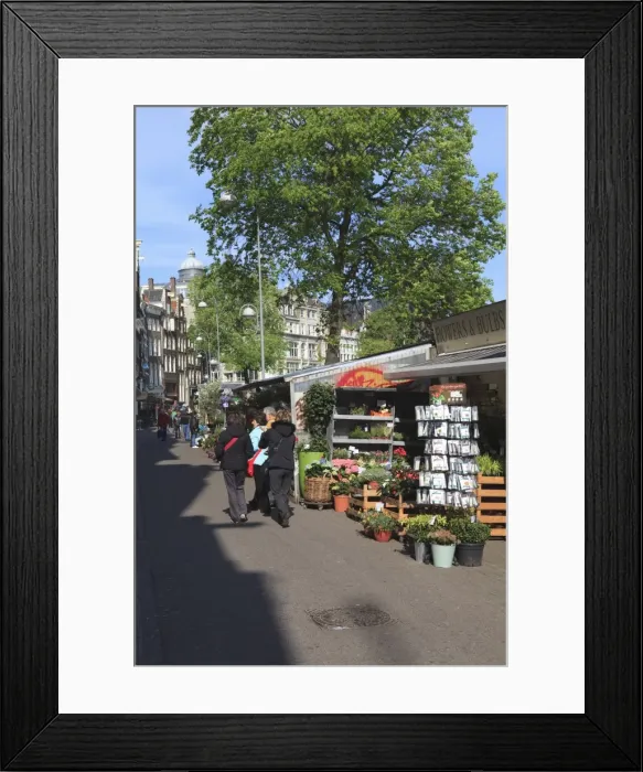 Framed Print : Bloemenmarkt (flower market), Amsterdam, Netherlands, Europe Framed Print : Bloemenmarkt (flower market), Amsterdam, Netherlands, Europe