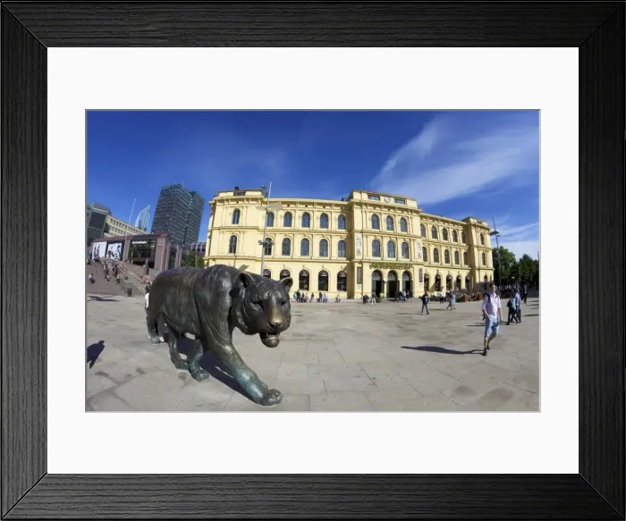 Framed Print : Bronze tiger in summer sunshine, Christian Frederiks Plass, Oslo city centre Framed Print : Bronze tiger in summer sunshine, Christian Frederiks Plass, Oslo city centre