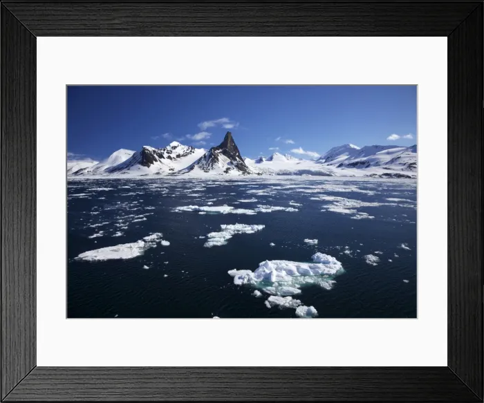 Framed Print : Hornesund Fjord landscape in summer sunshine, Spitzbergen, Svalbard, Arctic Norway Framed Print : Hornesund Fjord landscape in summer sunshine, Spitzbergen, Svalbard, Arctic Norway