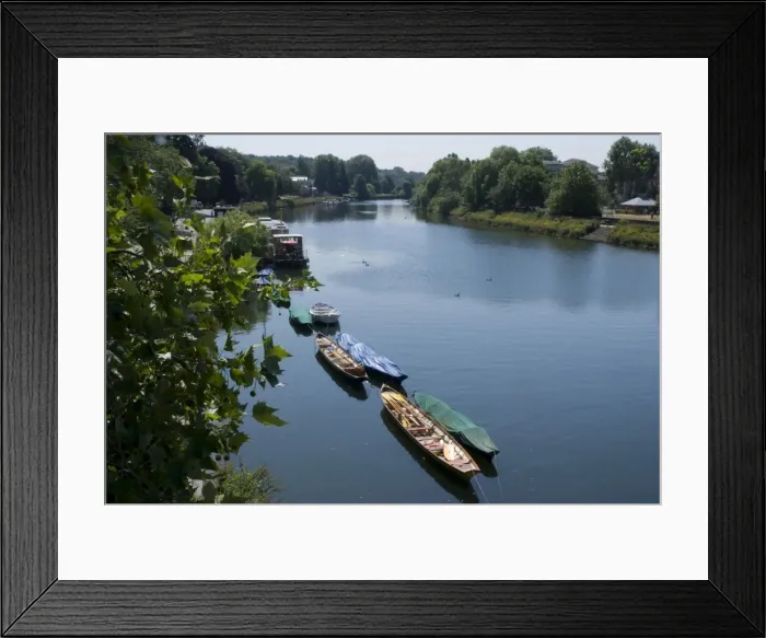 Framed Print : View of the Thames from Richmond Bridge, Richmond, Surrey, England, United Kingdom Framed Print : View of the Thames from Richmond Bridge, Richmond, Surrey, England, United Kingdom