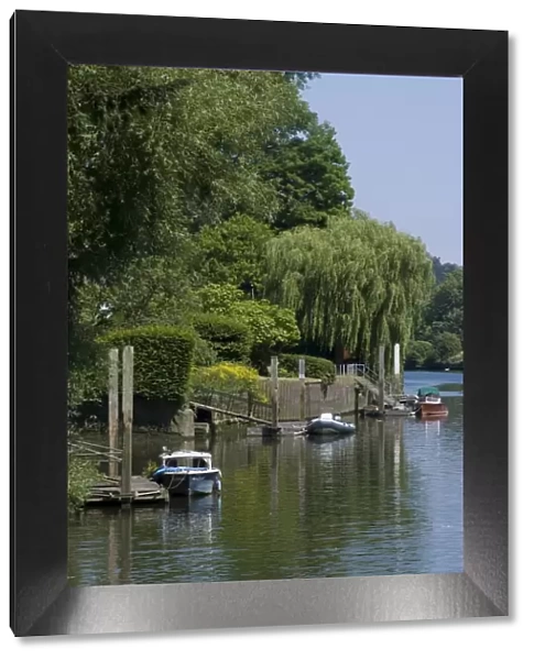 Thames River view near York House, Richmond, Surrey, England, United Kingdom, Europe