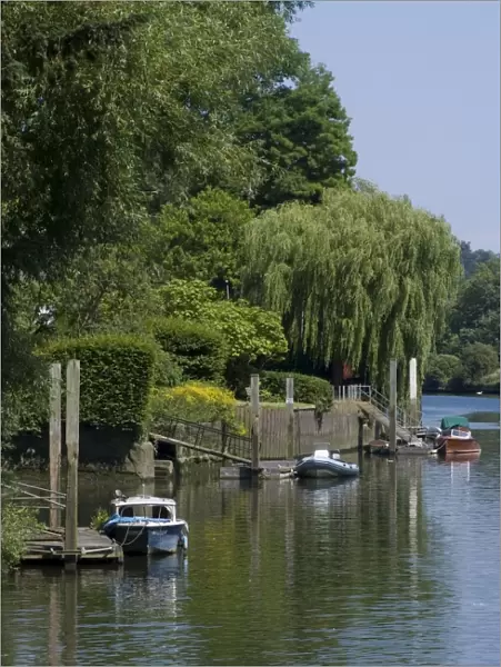 Thames River view near York House, Richmond, Surrey, England, United Kingdom, Europe