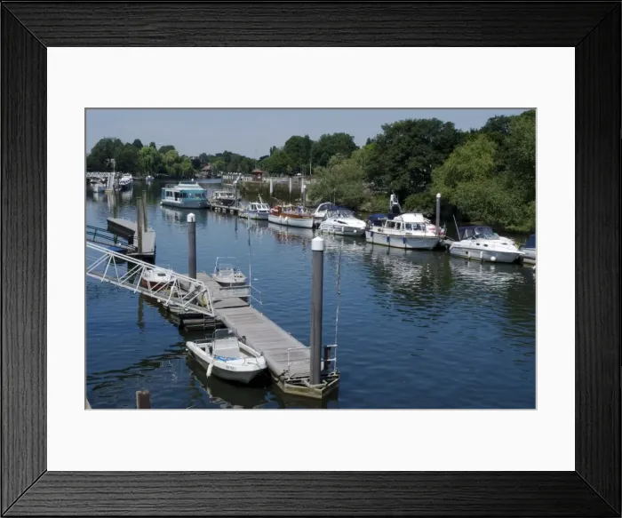 Framed Print : The boat marina on the Thames at Teddington, near Richmond, Surrey, England Framed Print : The boat marina on the Thames at Teddington, near Richmond, Surrey, England