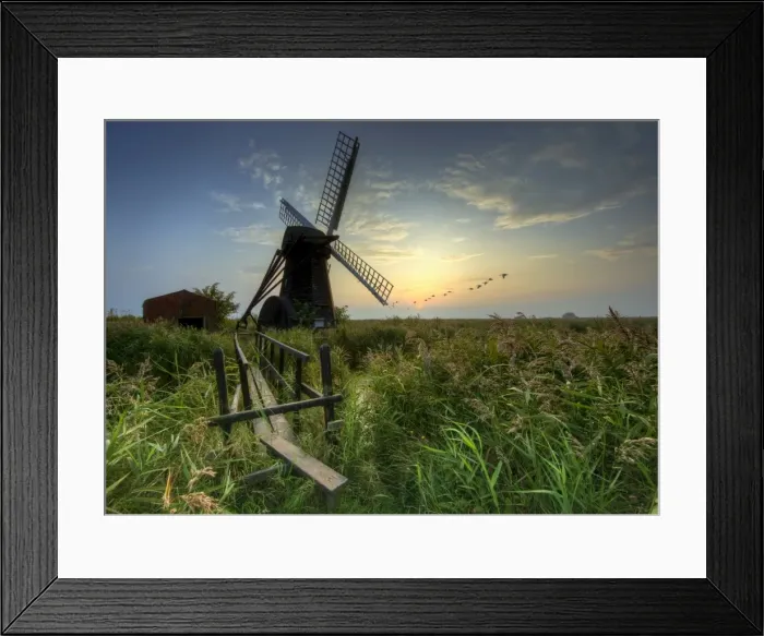 Framed Print : Autumn dusk at Herringfleet, Suffolk, England, United Kingdom, Europe Framed Print : Autumn dusk at Herringfleet, Suffolk, England, United Kingdom, Europe