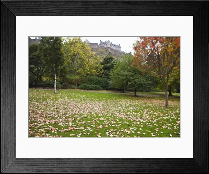 Framed Print : Princes Street Gardens and Edinburgh Castle, Edinburgh, Lothian, Scotland Framed Print : Princes Street Gardens and Edinburgh Castle, Edinburgh, Lothian, Scotland