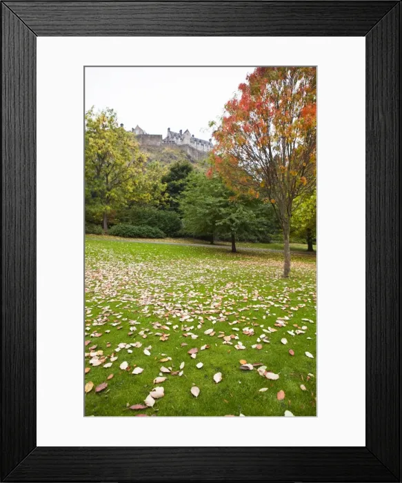 Framed Print : Princes Street Gardens and Edinburgh Castle, Edinburgh, Lothian, Scotland Framed Print : Princes Street Gardens and Edinburgh Castle, Edinburgh, Lothian, Scotland