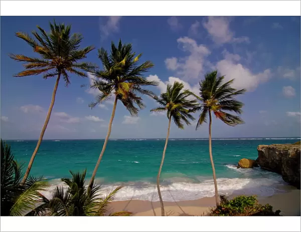Bottom Bay beach, Barbados, West Indies, Caribbean, Central America