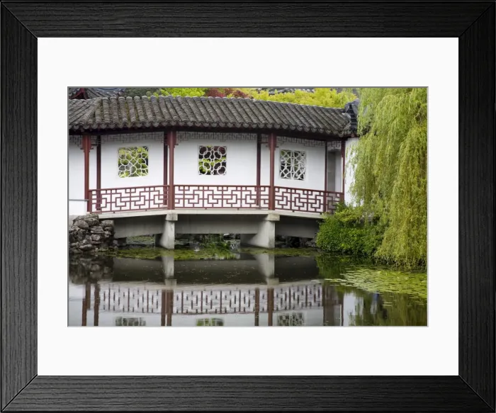 Framed Print : Dr. Sun Yat-Sen Classical Chinese Garden in Chinatown, Vancouver, British Columbia Framed Print : Dr. Sun Yat-Sen Classical Chinese Garden in Chinatown, Vancouver, British Columbia