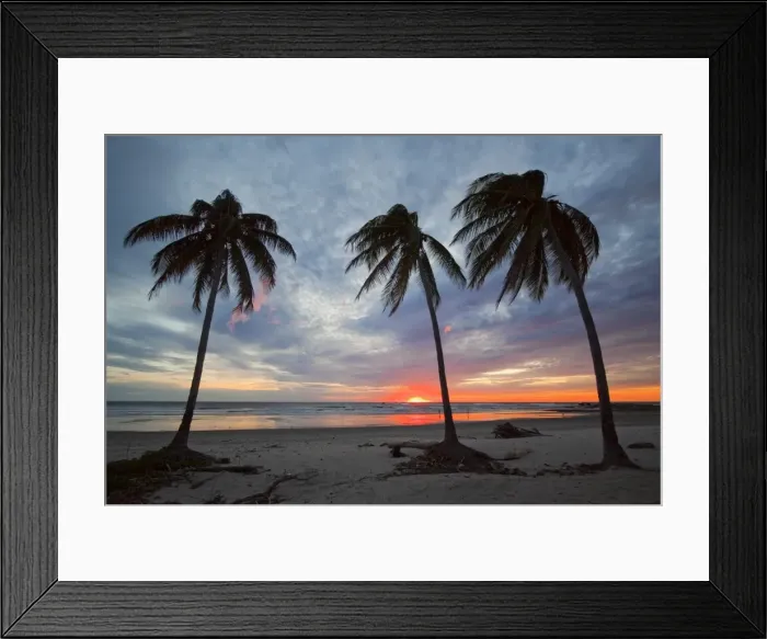 Framed Print : Sunset and palm trees on Playa Guiones beach, Nosara, Nicoya Peninsula Framed Print : Sunset and palm trees on Playa Guiones beach, Nosara, Nicoya Peninsula
