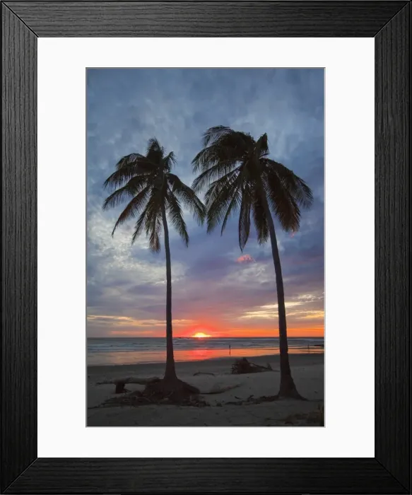 Framed Print : Sunset and palm trees on Playa Guiones beach, Nosara, Nicoya Peninsula Framed Print : Sunset and palm trees on Playa Guiones beach, Nosara, Nicoya Peninsula