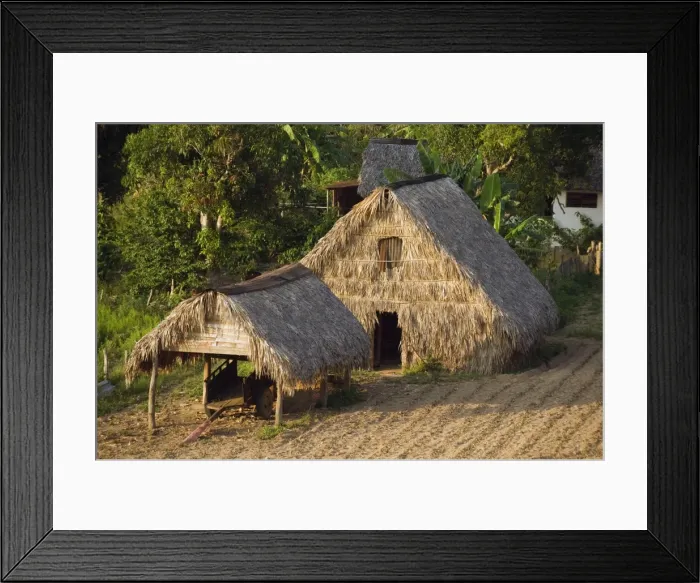 Framed Print : Thatched roof tobacco drying house, UNESCO World Heritage Site, Vinales Valley Framed Print : Thatched roof tobacco drying house, UNESCO World Heritage Site, Vinales Valley