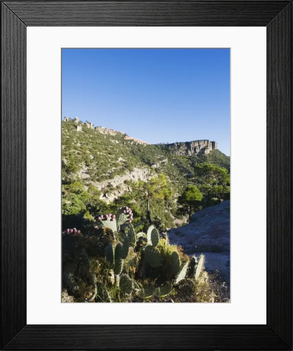 Framed Print : Cactus and canyon top hotel, Barranca del Cobre (Copper Canyon), Chihuahua state Framed Print : Cactus and canyon top hotel, Barranca del Cobre (Copper Canyon), Chihuahua state