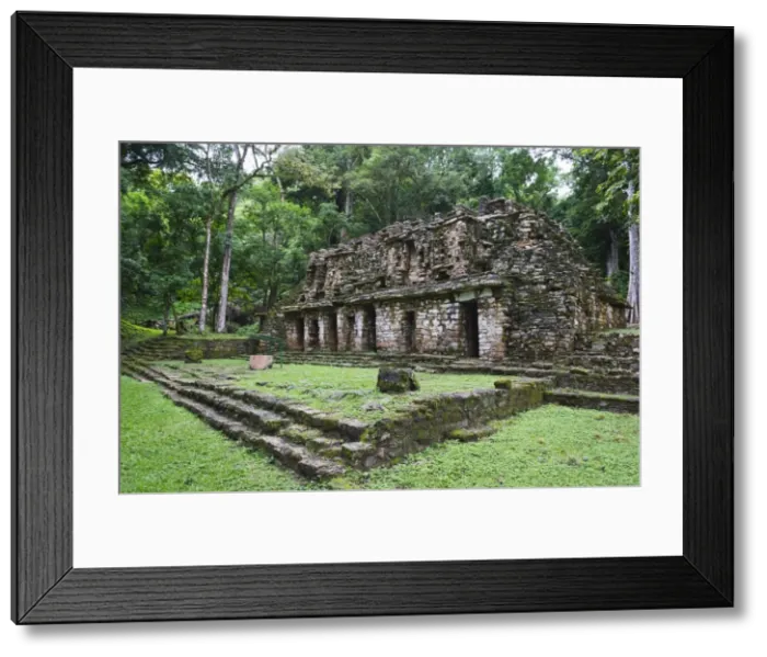 Framed Print : Mayan ruins, Yaxchilan, Chiapas state, Mexico, North America Framed Print : Mayan ruins, Yaxchilan, Chiapas state, Mexico, North America
