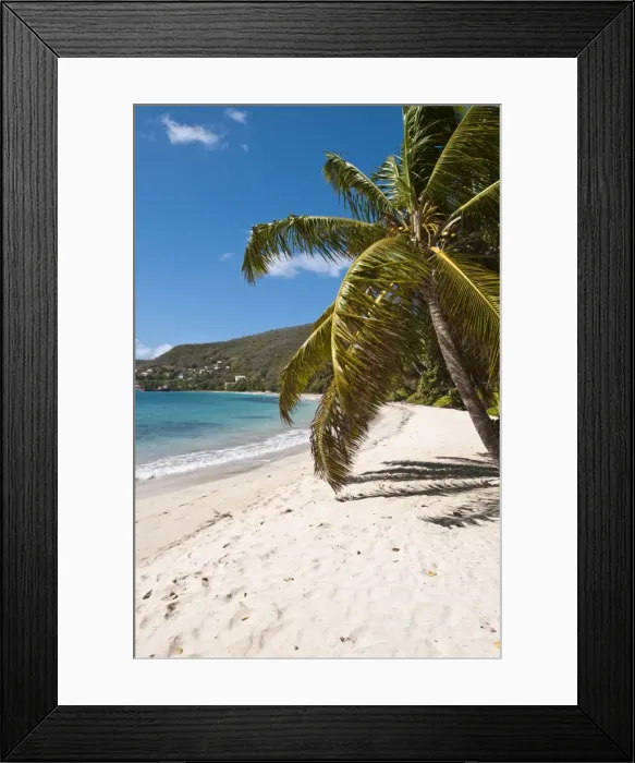 Framed Print : Friendship Bay beach, Bequia, St. Vincent and The Grenadines, Windward Islands Framed Print : Friendship Bay beach, Bequia, St. Vincent and The Grenadines, Windward Islands