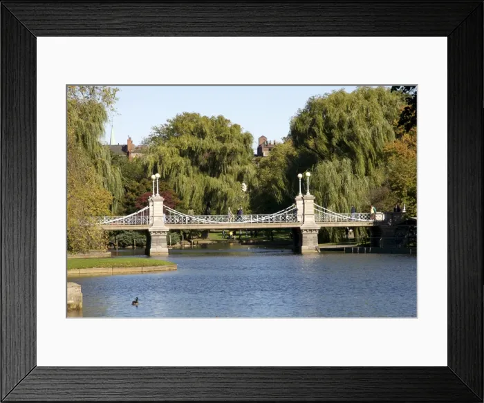 Framed Print : Boston Common, Boston, Massachusetts, New England, United States of America Framed Print : Boston Common, Boston, Massachusetts, New England, United States of America