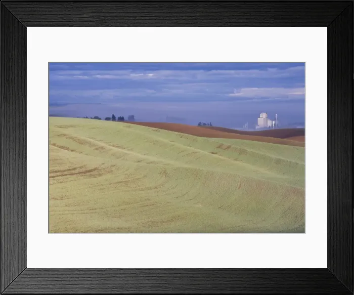 Framed Print : Genesee grain silo, Palouse, Idaho, United States of America, North America Framed Print : Genesee grain silo, Palouse, Idaho, United States of America, North America