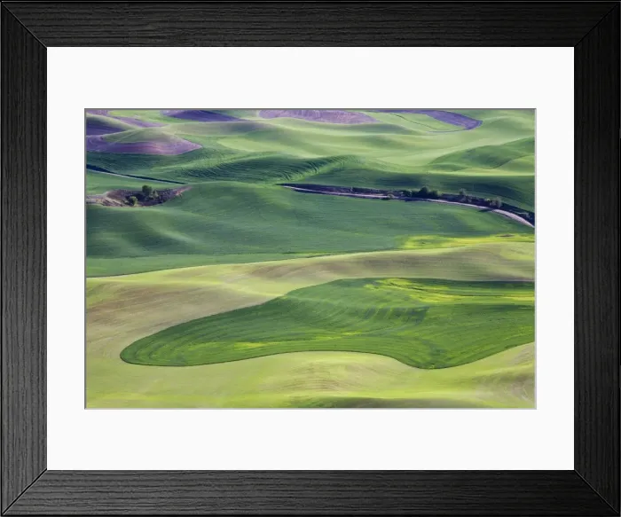 Framed Print : Spring in the Palouse, from Steptoe Butte, Washington State, United States of America Framed Print : Spring in the Palouse, from Steptoe Butte, Washington State, United States of America