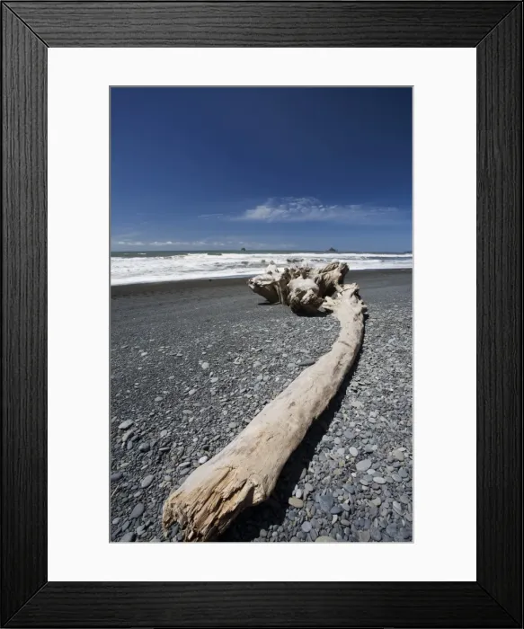 Framed Print : Rialto Beach, Olympic Peninsula, Washington State, United States of America Framed Print : Rialto Beach, Olympic Peninsula, Washington State, United States of America