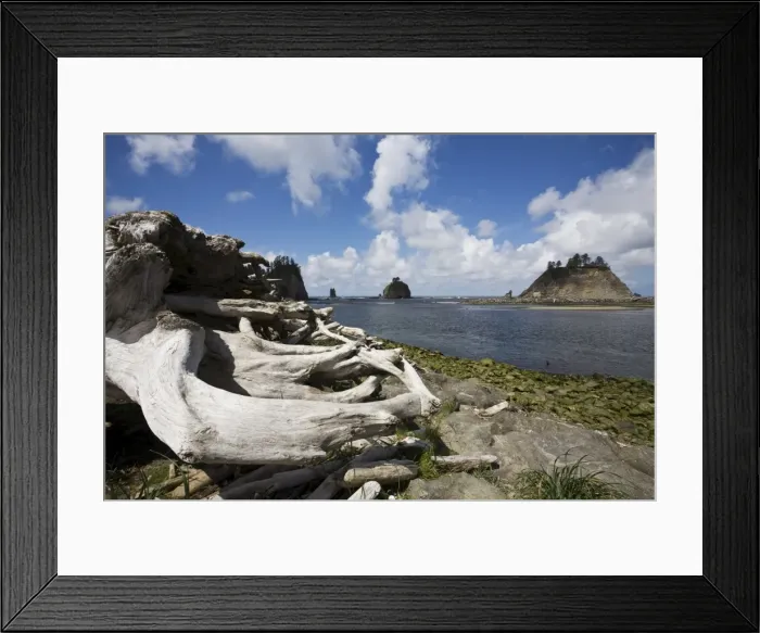 Framed Print : La Push, Olympic Peninsula, Washington State, United States of America, North America Framed Print : La Push, Olympic Peninsula, Washington State, United States of America, North America