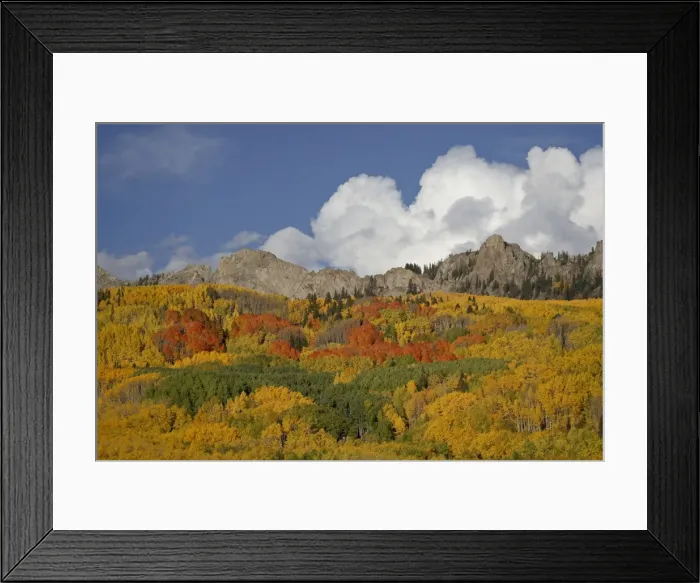 Framed Print : The Dyke with the fall colours, Grand Mesa-Uncompahgre-Gunnison National Forest Framed Print : The Dyke with the fall colours, Grand Mesa-Uncompahgre-Gunnison National Forest