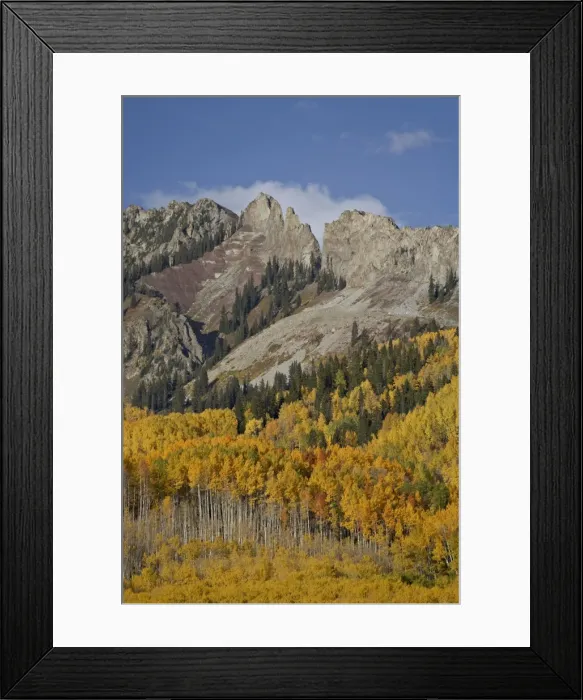 Framed Print : The Dyke with the fall colours, Grand Mesa-Uncompahgre-Gunnison National Forest Framed Print : The Dyke with the fall colours, Grand Mesa-Uncompahgre-Gunnison National Forest