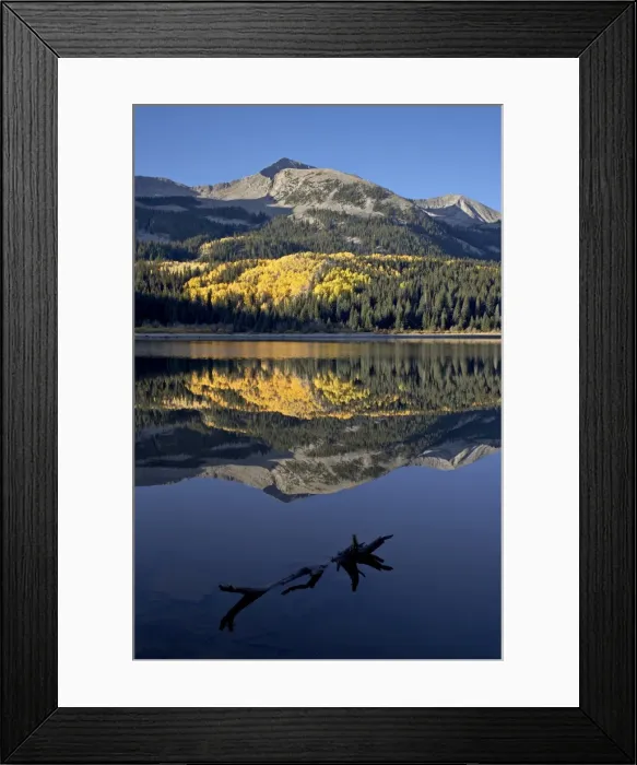 Framed Print : Lost Lake at dawn in the fall, Grand Mesa-Uncompahgre-Gunnison National Forest Framed Print : Lost Lake at dawn in the fall, Grand Mesa-Uncompahgre-Gunnison National Forest