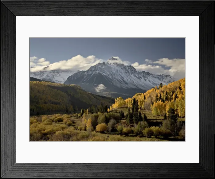 Framed Print : Yellow aspens and snow-covered mountains, Uncompahgre National Forest, Colorado Framed Print : Yellow aspens and snow-covered mountains, Uncompahgre National Forest, Colorado