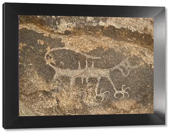 Petroglyph, Alabama Hills, Inyo National Forest, California, United States of America