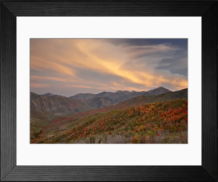 Framed Print : Orange clouds at sunset over orange and red maples in the fall, Uinta National Forest Framed Print : Orange clouds at sunset over orange and red maples in the fall, Uinta National Forest
