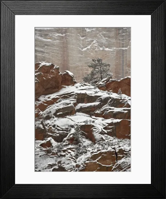 Framed Print : Fresh snow on a red rock cliff and evergreens, Zion National Park, Utah Framed Print : Fresh snow on a red rock cliff and evergreens, Zion National Park, Utah