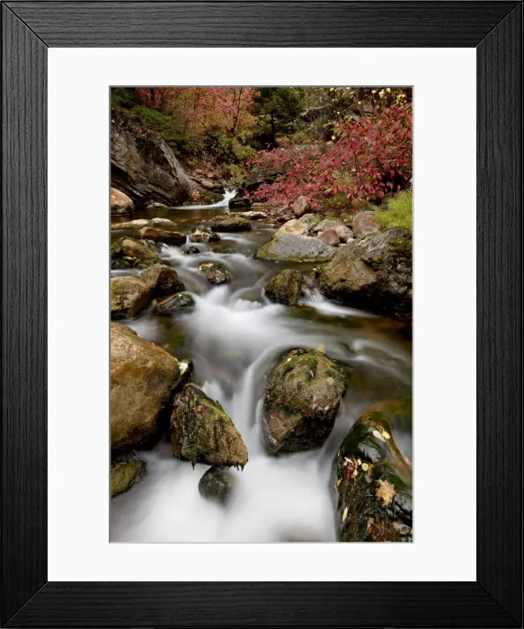 Framed Print : Cascades on Peteetneet Creek with red maples in the fall, Nebo Loop, Uinta National Forest Framed Print : Cascades on Peteetneet Creek with red maples in the fall, Nebo Loop, Uinta National Forest