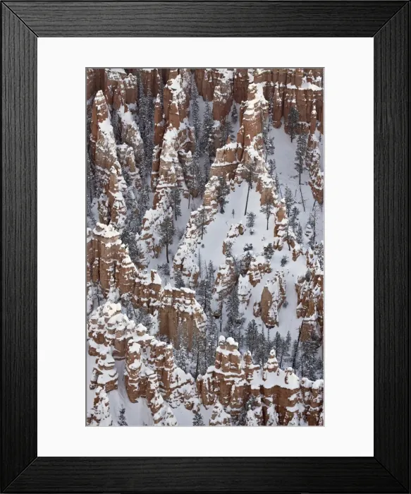 Framed Print : Hoodoos with fresh snow, Bryce Canyon National Park, Utah, United States of America Framed Print : Hoodoos with fresh snow, Bryce Canyon National Park, Utah, United States of America